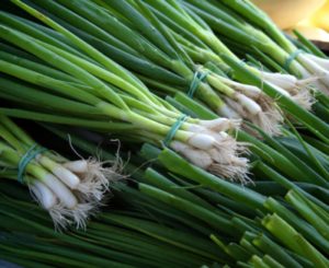 Green onion regrowth