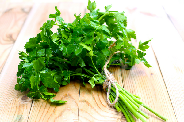 Growing parsley