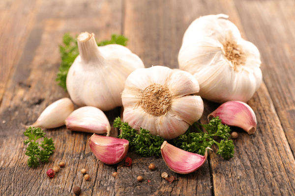 grow garlic